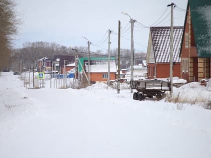 Минсельхоз России высоко оценил работу АПК Мордовии в 2022 году