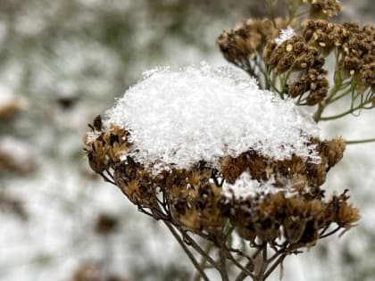 Синоптики рассказали о погоде в Мордовии на выходные
