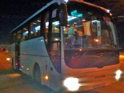 В Мордовии сотрудники МЧС помогли 58 туристам, в автобусе которых замерзло топливо