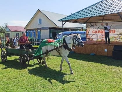 В Татарском Умысе отпраздновали «свадьбу плуга»