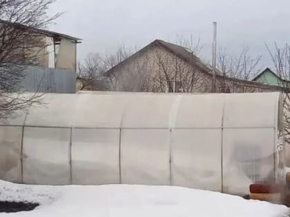 Для чего нужно закидывать снег в теплицу