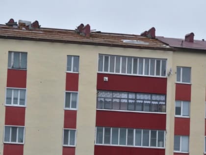 В Атяшево штормовой ветер снес несколько крыш, повредил газопровод и повалил деревья