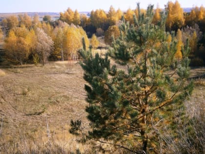 В Мордовии ожидаются скачкообразные изменения погоды