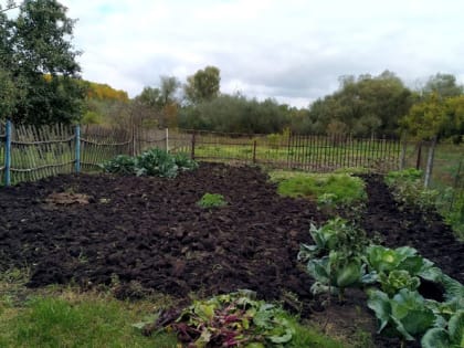 Нужно ли пахать землю на участке под зиму