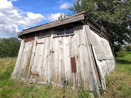 Чем обработать погреб перед новым урожаем