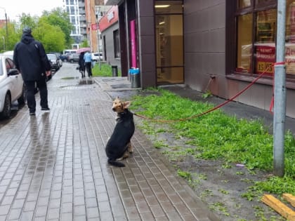 13 июня в Мордовии ожидается дождь и до +30