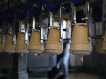 Россиянам советуют отказаться от мороженого во время жары 