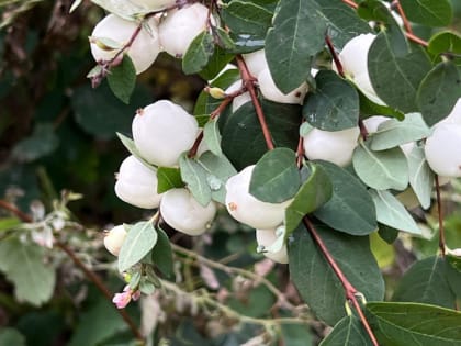 Мороз и солнце: Гидрометцентр рассказал о погоде в последние выходные лета