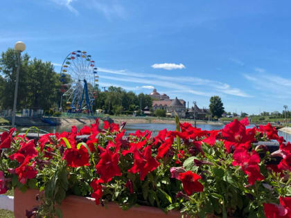 Синоптики рассказали о погоде в Мордовии на неделю