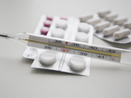 В Мордовии снизилась заболеваемость гриппом