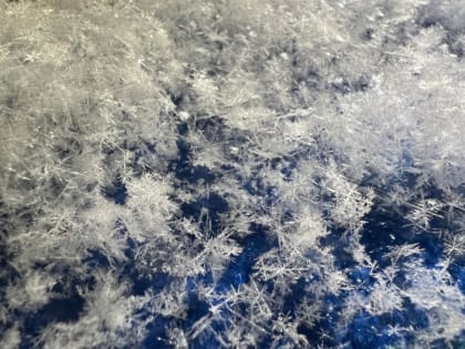 Синоптики рассказали о погоде в Мордовии на этой неделе