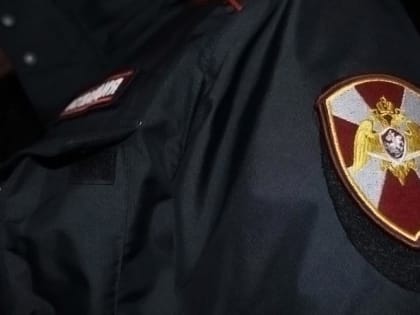 В Мордовии росгвардейцам пришлось ловить пьяную женщину