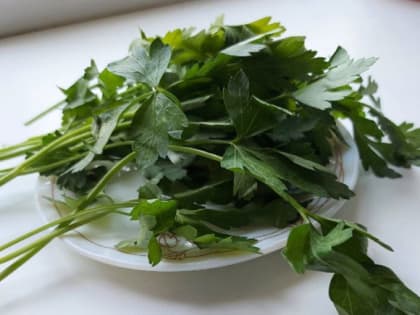 Что посадить на грядки прямо сейчас