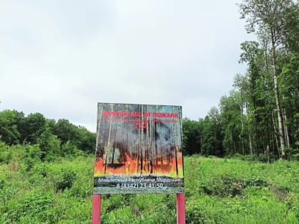 С 29 по 30 апреля 2024 года местами на территории Республики Мордовия ожидается высокая (4 класс) пожарная опасность лесов