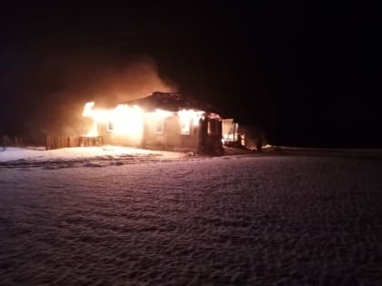 В Мордовии сгорел частный деревянный дом: хозяйку спасли