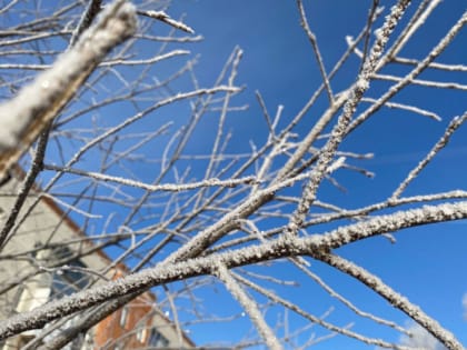 В Мордовии температурные рекорды пока не побиты