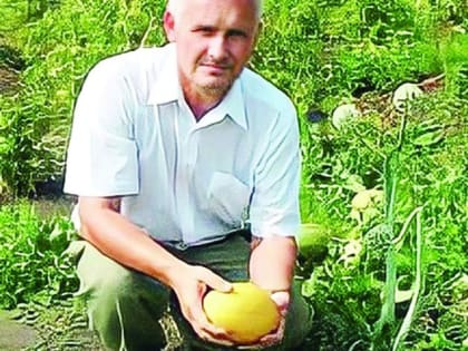 Как правильно выращивать дыни