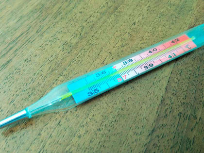 Пик заболеваемости гриппом прогнозируется в России в ноябре-декабре