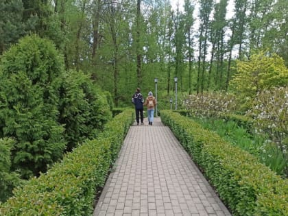 Не допустите эпидемии: срочно обработайте сад этими средствами