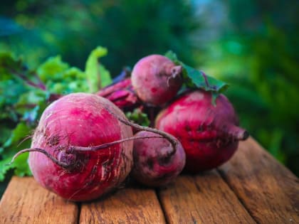 Свекла оказалась опасной для пенсионеров