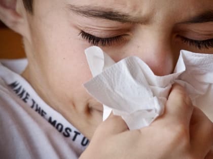 В Мордовии заболеваемость ОРВИ выросла на 27%