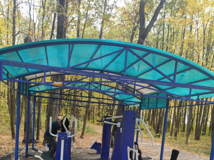 В лесопарковой зоне юго-западной части Саранска заменили уличные тренажеры