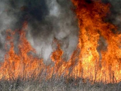 В Мордовии выросло число травяных палов