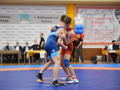 Борцы из Мордовии завоевали медали первенства ПФО