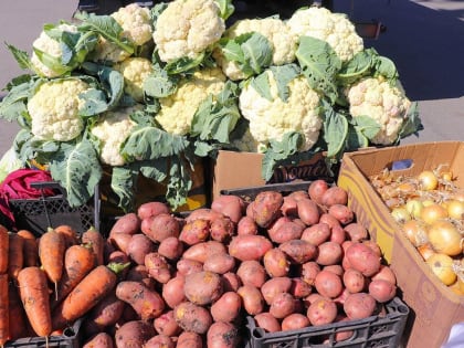 Ярмарки в городе: временные ограничения для транспорта