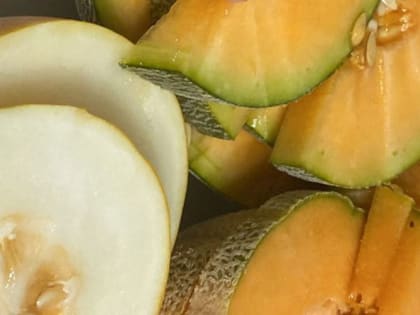 Когда сажать дыню: благоприятные дни для посадки в 2023 году