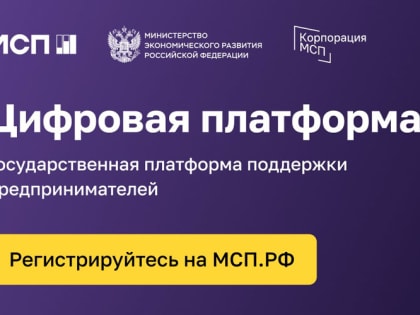 Предприниматели Мордовии могут получить поддержку через систему «Цифровой профиль»