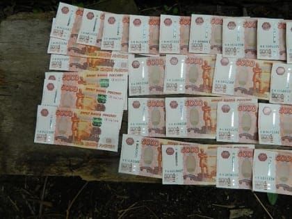 Осужденный из мордовской колонии-поселения за попытку мошенничества отправится в ИК особого режима