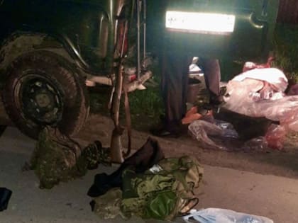 Житель Московской лоси незаконно добыл лося в Мордовии