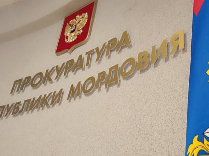 Жительница Мордовии забыла про несовершеннолетнего сына