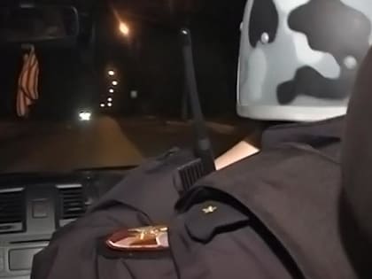 В Мордовии росгвардейцы помогли задержать пьяного водителя