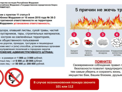 Информация для граждан от Государственного юридического бюро об административной ответственности за сжигание мусора