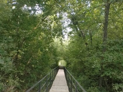 В Саранске продолжается ремонт пешеходных мостов