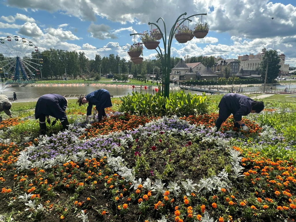 Цветы для городской клумбы фото с названиями