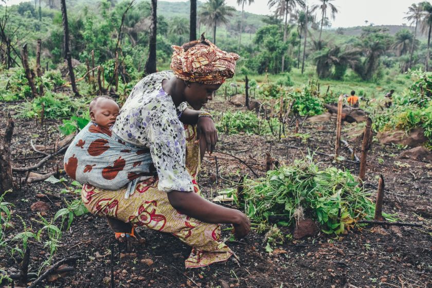 Challenges and progress in African countries: The French public's perspective