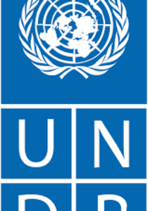 Communicating Development Cooperation to Domestic Audiences Approaches and Implications for South-South Cooperation Providers