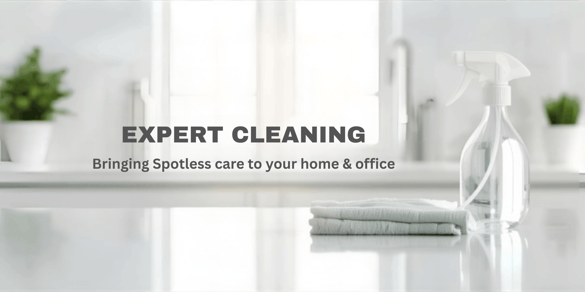 services cleaning