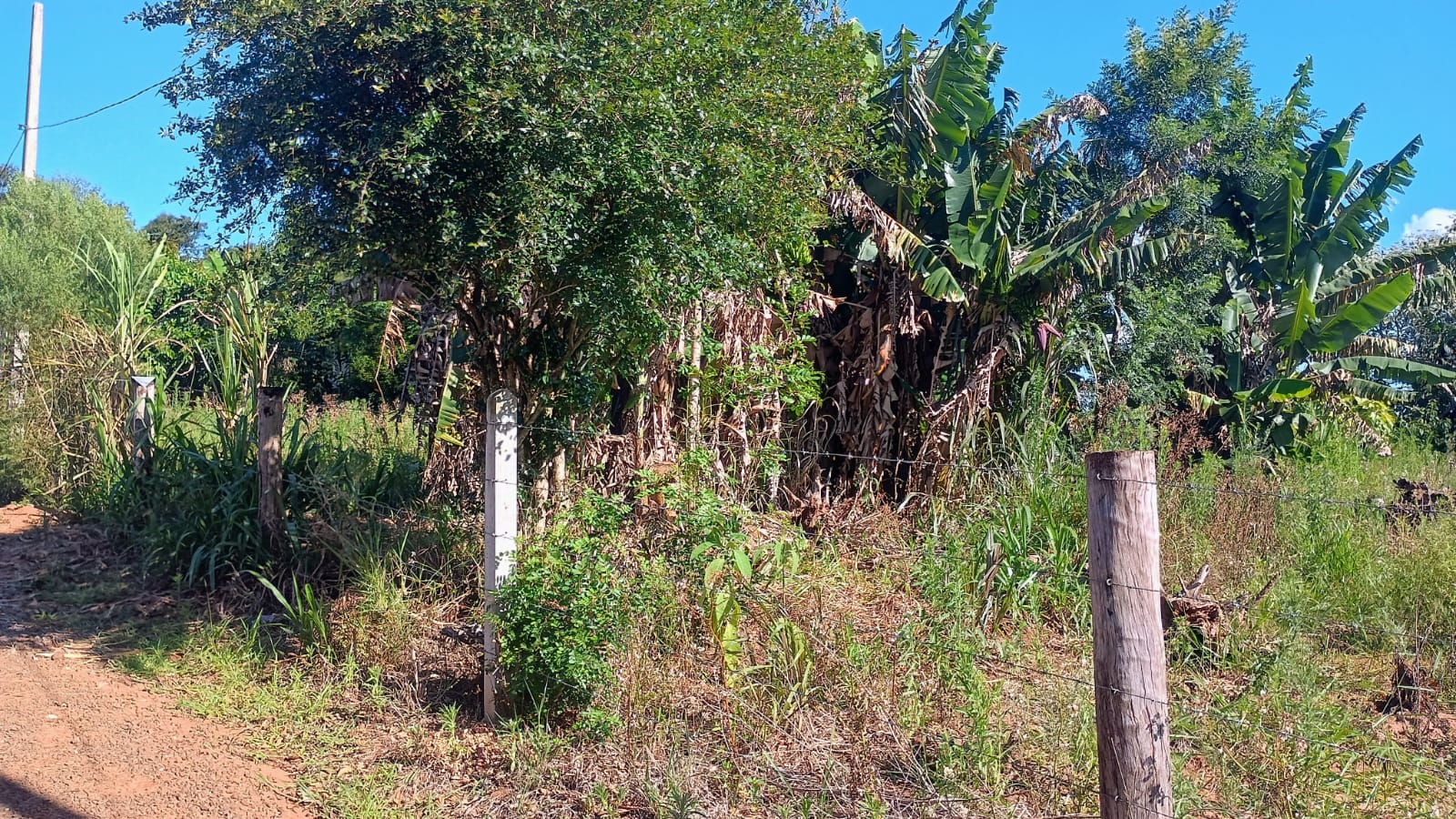 Chácara em Portão