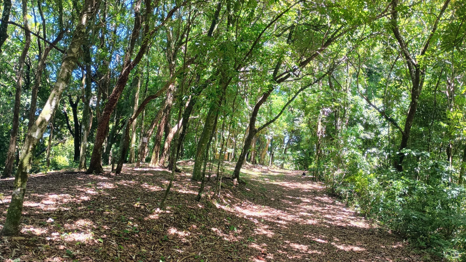 Chácara com vista privilegiada em Estância Velha