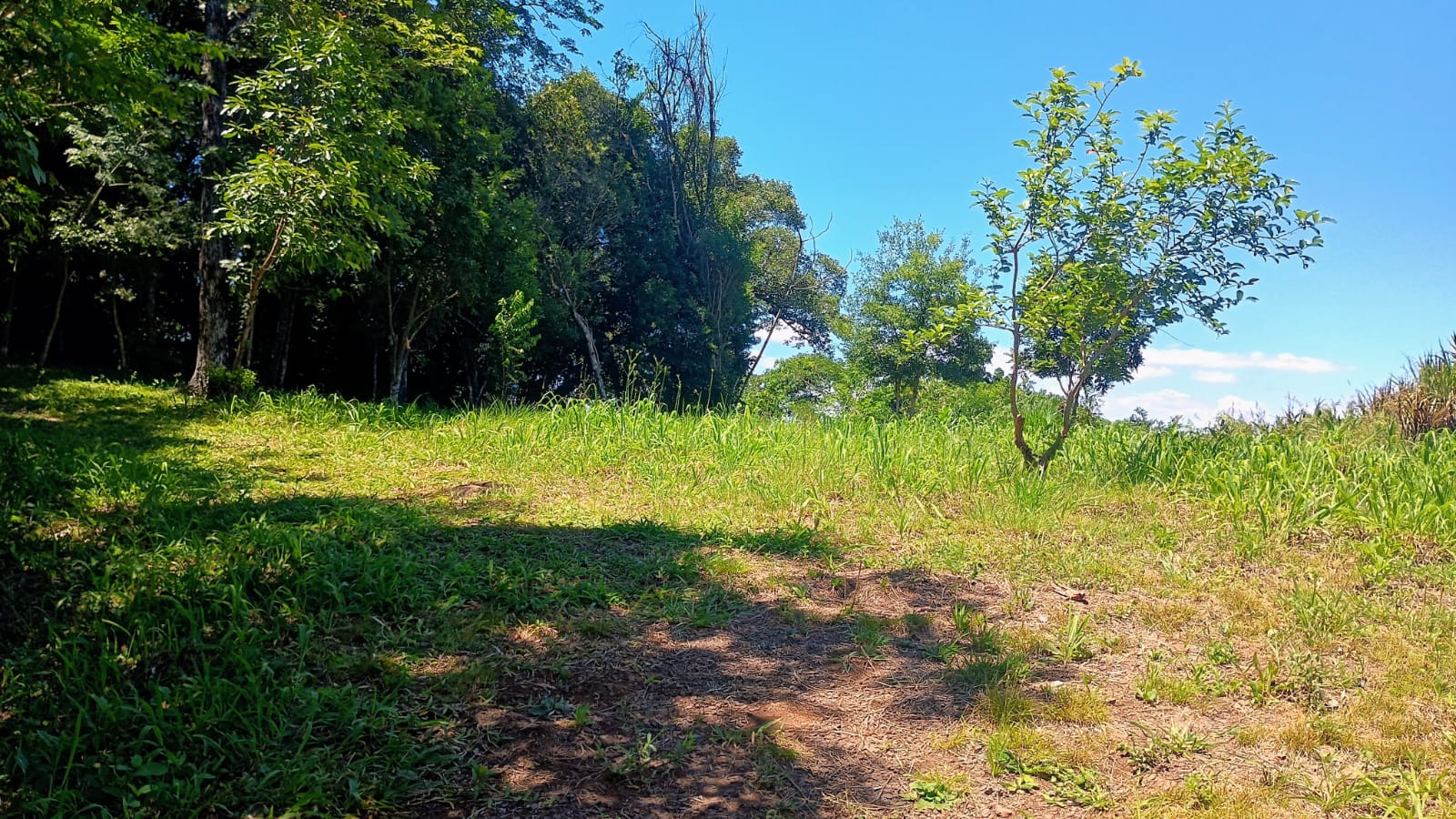 Chácara com vista privilegiada em Estância Velha