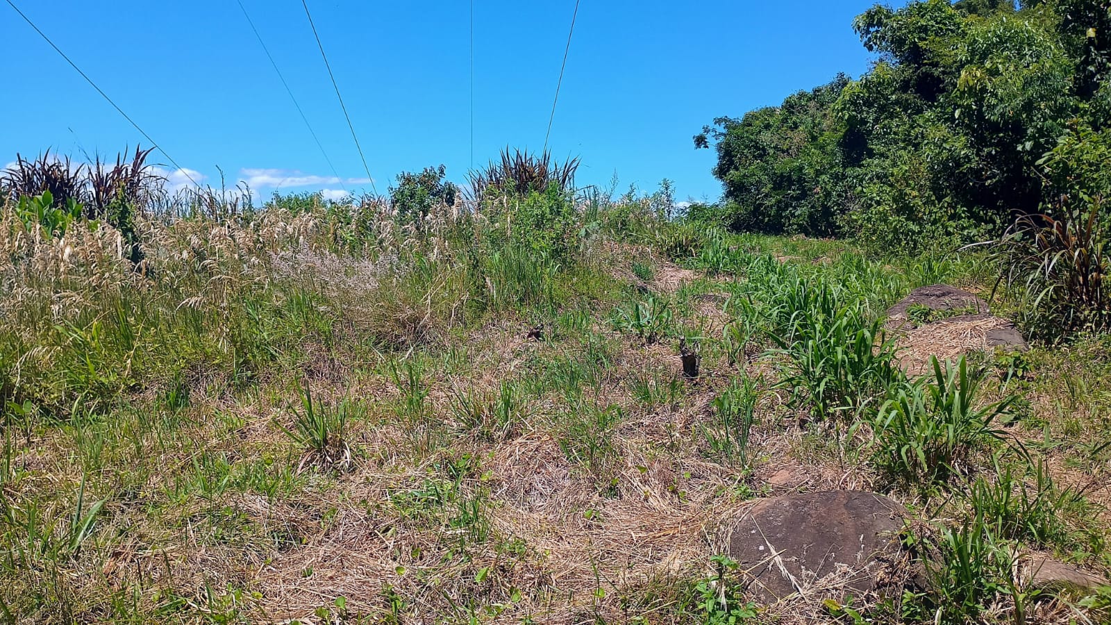Chácara com vista privilegiada em Estância Velha