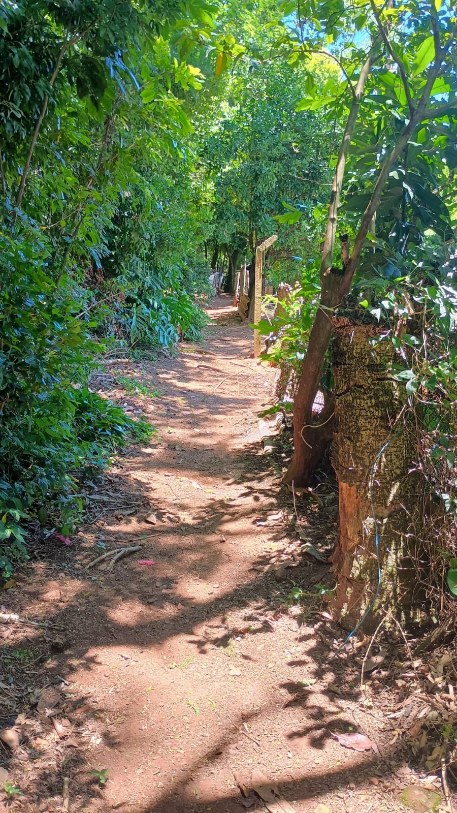 Chácara com vista privilegiada em Estância Velha