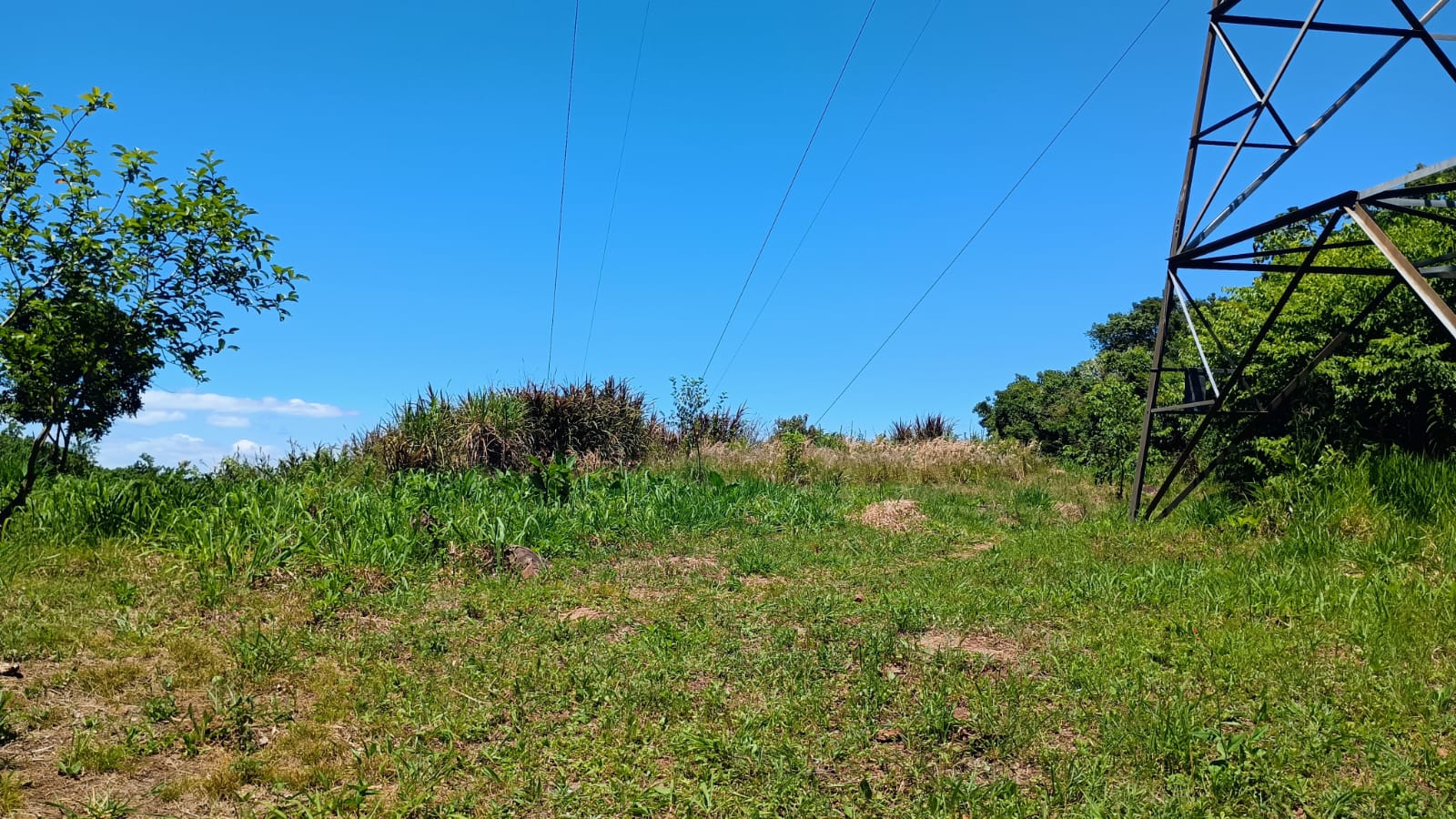 Chácara com vista privilegiada em Estância Velha