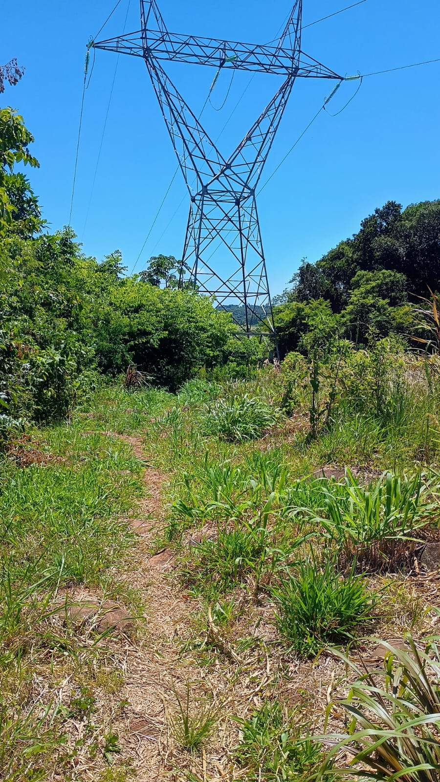 Chácara com vista privilegiada em Estância Velha