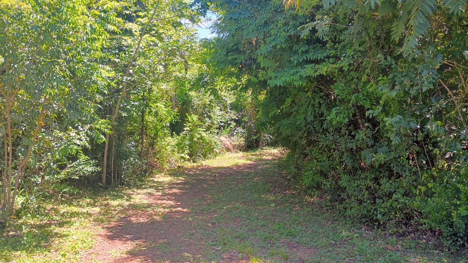 Chácara com vista privilegiada em Estância Velha
