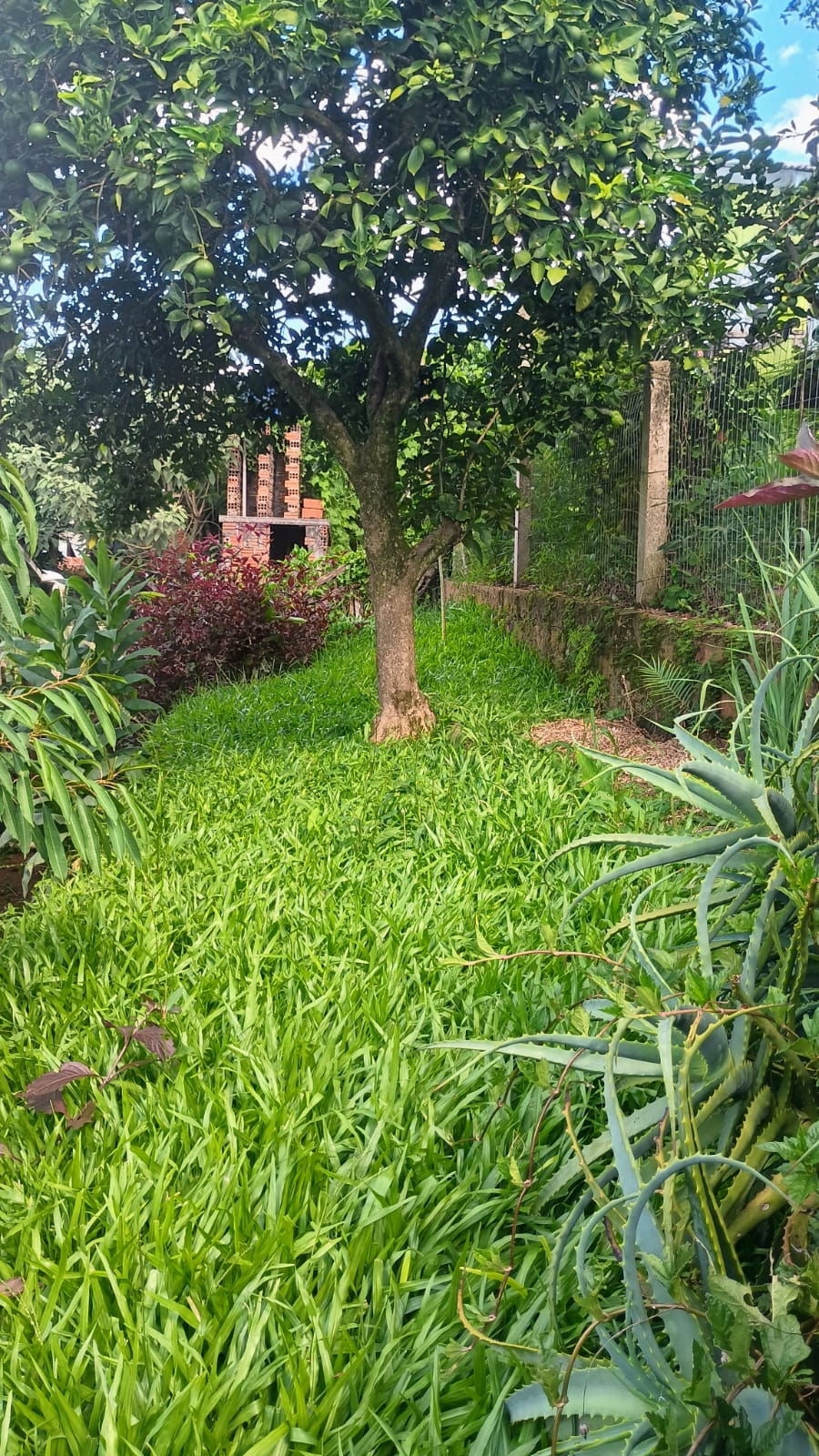 Terreno com duas casas em São Sebastião do Caí